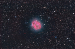 Nebulosa Cocoon nella costellazione del cigno