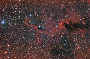 Nebulosa Proboscide VDB 142