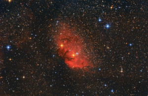 Nebulosa SH2-101-"tulipano" 